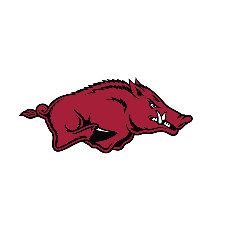 University of Arkansas